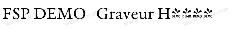 FSP DEMO   Graveur H字体转换